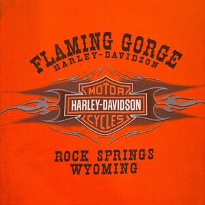 Harley Davidson Mens Orange Flaming Gorge Wyoming Pocket T-Shirt L 2007 Y2K